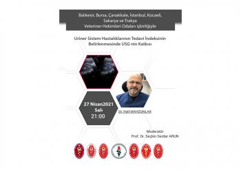 Üriner Sistem Hastalıklarının Tedavi İndeksinin Belirlenmesinde USG nin Katkısı