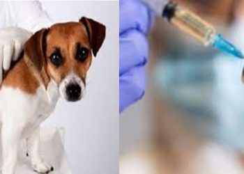 Meslek Ayrımcılığı ve Aşıda Adaletsizlik Son Bulsun