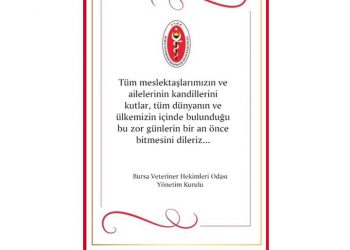 Kandiliniz kutlu olsun