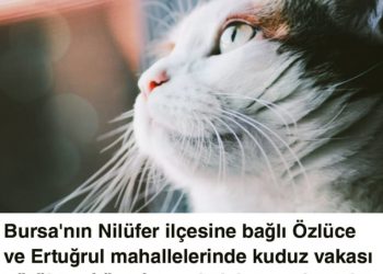 Bursa’da Kuduz Vakası Görüldüğüne Dair Haber Gerçeği Yansıtmamaktadır