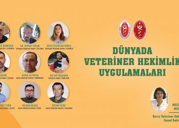 Dünyada Veteriner Hekimlik