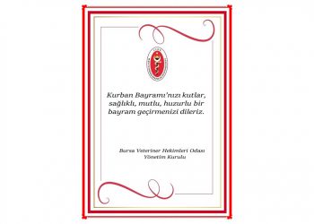 Kurban Bayramı’nızı kutlar, sağlıklı, mutlu, huzurlu bir bayram geçirmenizi dileriz. BVHO Yönetim Kurulu