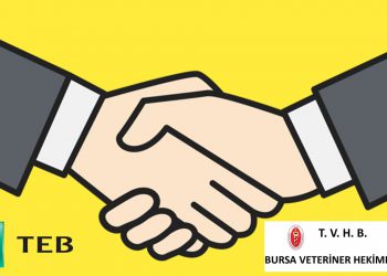 BVHO ile TEB (Türk Ekonomi Bankası) arasındaki protokol.