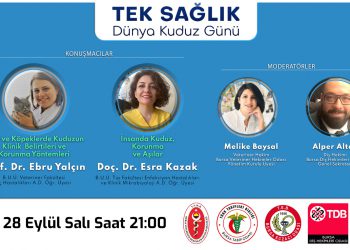 Dünya Kuduz Günü Çevrim İçi Etkinliği