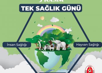 3 Kasım Dünya Tek Sağlık Günü