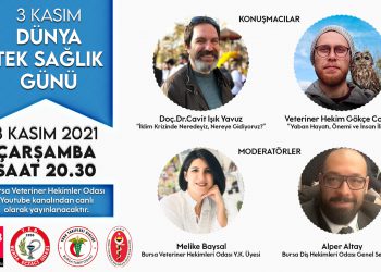 3 Kasım Dünya Tek Sağlık Günü Çevrimiçi Etkinlik