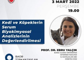 Kedi ve Köpeklerin Serum Biyokimyasal Analizlerinin Değerlendirilmesi