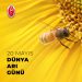 20 Mayıs Dünya Arı Günü