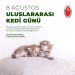 8 Ağustos Uluslararası Kedi Günü