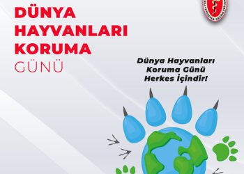 4 Ekim Dünya Hayvanları Koruma Günü