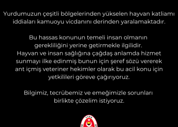 SON GELİŞMELER HAKKINDA