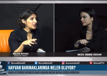 Melike Baysal “Açık Konuşalım” Program Yayını