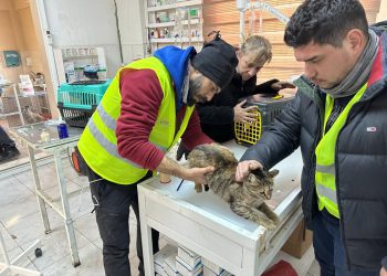 VETERİNER HEKİMLER DEPREM BÖLGESİNİ YALNIZ BIRAKMADI