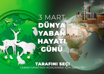 Sürdürülebilir Yaşamın Sağlanması için İşbirliği!