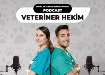 BVHO Dünya Veteriner Hekimler Günü Açıklaması