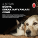 Dünya Sokak Hayvanları Günü Mesajımız