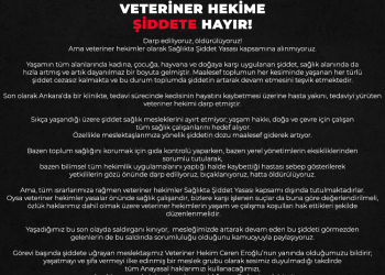 ARTIK YETER! VETERİNER HEKİME ŞİDDETE SON!
