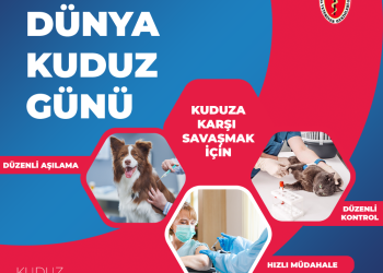 28 Eylül Dünya Kuduz Günü – Hepimiz Birimiz, Tek Sağlık Hepimiz İçin