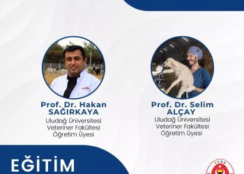 “Sığırlarda Embriyo Transferi” Kursu