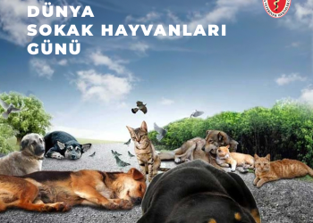 4 Nisan Dünya Sokak Hayvanları Günü Basın Açıklaması