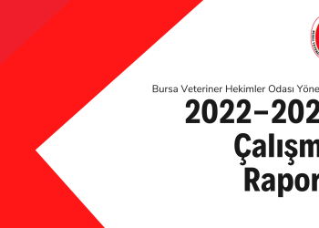 2022-2024 Çalışma Raporu