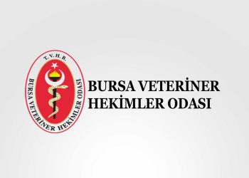 vho-logo