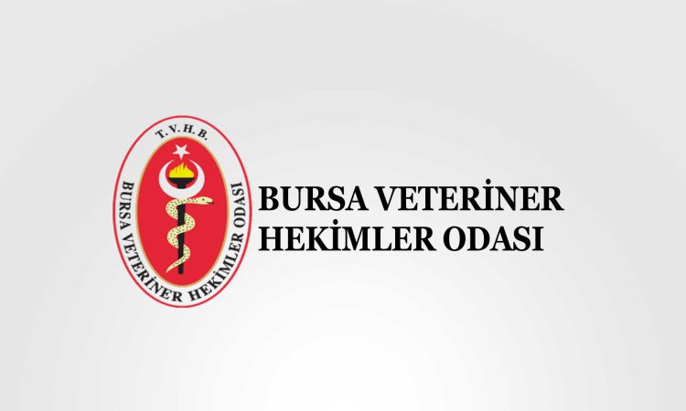 vho-logo