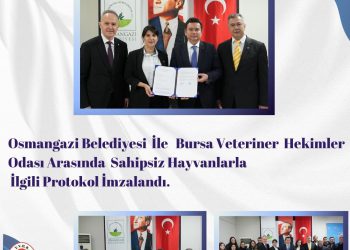 Bursa Veteriner Hekimler Odası İle Osmangazi Belediyesi Protokol İmzaladı