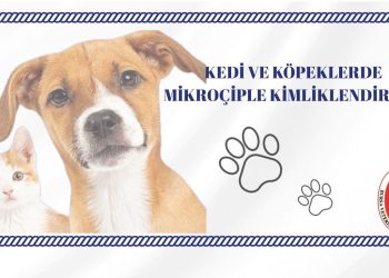KEDİ VE KÖPEKLERDE MİKROÇİPLE KİMLİKLENDİRME!