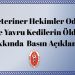 Bursa Veteriner Hekimler Odası’ndan “Gemlik’te Yavru Kedilerin Öldürülmesi” Hakkında Basın Açıklaması