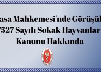 Anayasa Mahkemesi’nde Görüşülecek 7527 Sayılı Sokak Hayvanları Kanunu Hakkında