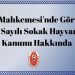 Anayasa Mahkemesi’nde Görüşülecek 7527 Sayılı Sokak Hayvanları Kanunu Hakkında