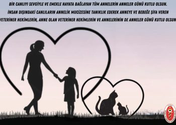 Anneler Günü Kutlu Olsun