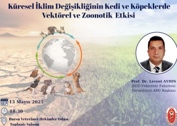 Küresel İklim Değişikliğinin Kedi ve Köpeklerde Vektörel ve Zoonotik Etkisi