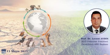 Küresel İklim Değişikliğinin Kedi ve Köpeklerde Vektörel ve Zoonotik Etkisi