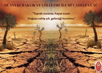17 Haziran Dünya Çölleşme ve Kuraklıkla Mücadele Günü