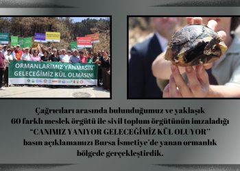 CANIMIZ YANIYOR GELECEĞİMİZ KÜL OLUYOR