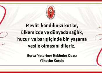 Mevlit Kandilinizi Kutlarız