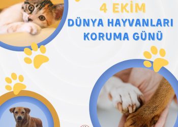 4 Ekim Dünya Hayvanları Koruma Günü