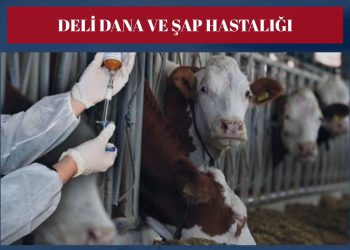 Hayvan Sağlığı Krizi Derinleşiyor: Türkiye Şeffaf Açıklama Bekliyor