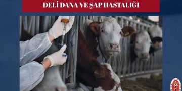 Hayvan Sağlığı Krizi Derinleşiyor: Türkiye Şeffaf Açıklama Bekliyor