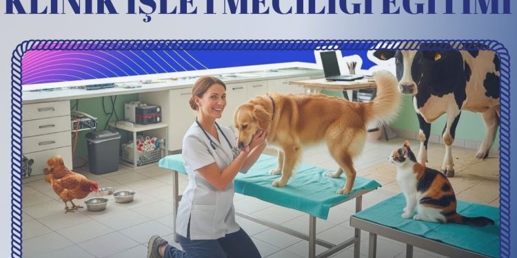 Bursa Veteriner Hekimler Odası Sürekli Eğitimleri “Klinik İşletmeciliği” eğitimiyle devam ediyor.