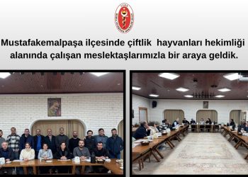 Mustafakemalpaşa ilçesinde çiftlik hayvanları hekimliği alanında çalışan meslektaşlarımızla bir araya geldik.
