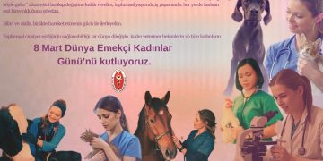 VETERİNER HEKİMLİKTE KADINLARIN YÜKSELİŞİ VE GÖRÜNMEYEN CAM TAVAN