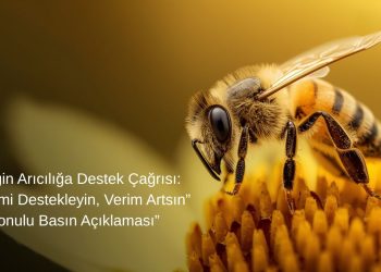 Bursa Veteriner Hekimler Odası’nın” Gezgin Arıcılığa Destek Çağrısı: “Üretimi Destekleyin, Verim Artsın” konulu basın açıklaması