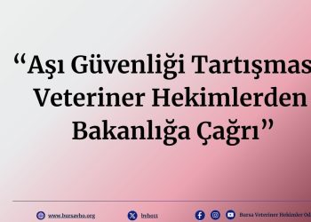 “Aşı Güvenliği Tartışması: Veteriner Hekimlerden Bakanlığa Çağrı”