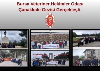 Bursa Veteriner Hekimler Odası Çanakkale Gezisi Gerçekleşti