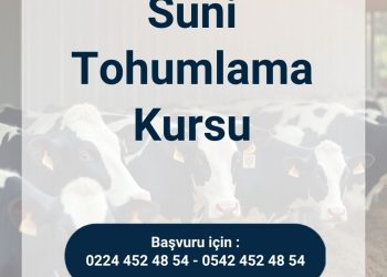 8-12 Haziran 2026 Suni Tohumlama Kursu