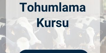8-12 Haziran 2026 Suni Tohumlama Kursu