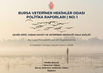 Bursa Veteriner Hekimler Odası Politika Raporları | No: 1